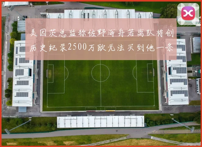 美因茨总监称佐野海舟若离队将创历史纪录2500万欧无法买到他一条腿