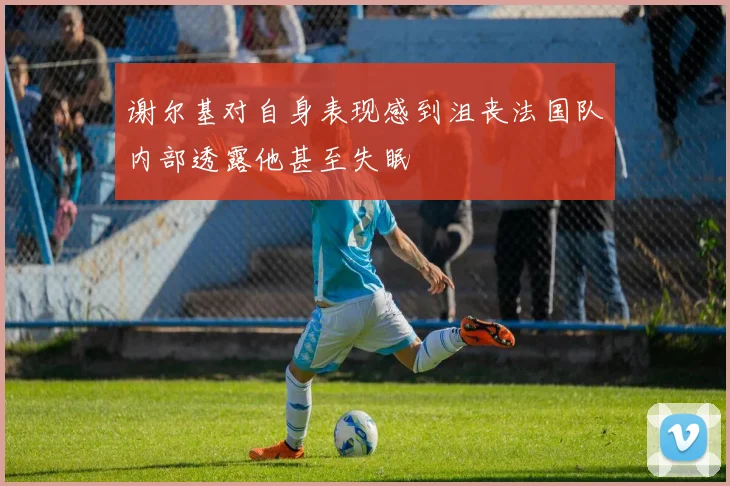 谢尔基对自身表现感到沮丧法国队内部透露他甚至失眠